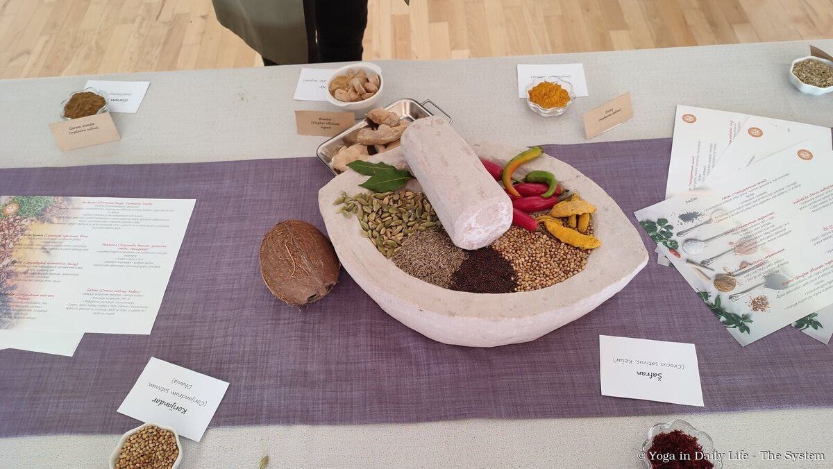 5.1. ayurveda wm