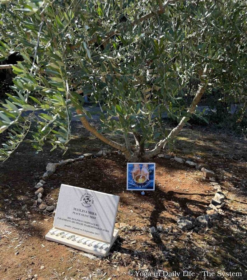 cro.duga uvala pula wm