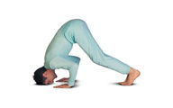 Asanas et exercices pour renforcer les muscles du cou