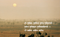 स्तर -8